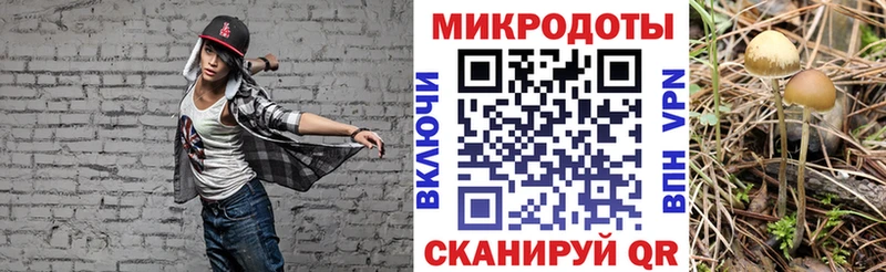 Галлюциногенные грибы мицелий  мориарти официальный сайт  Серов 